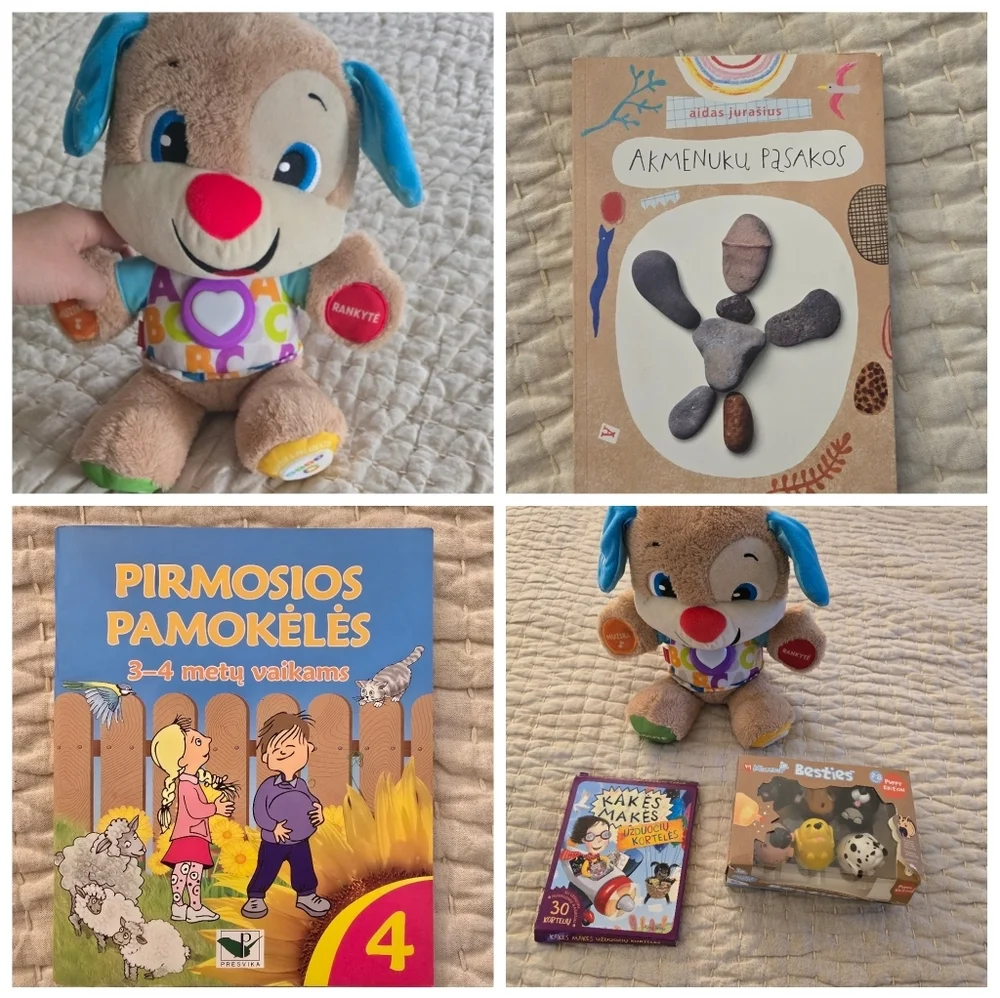 Lithuanian Speaking Fisher Price Dog, Books, Markers Set
